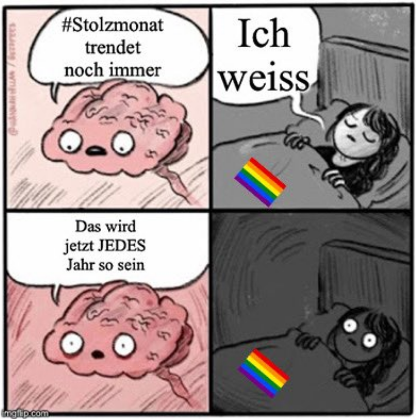 shlomo96's tweet photo. #Stolzmonat #StolzStattPride #StolzStattScholz https://t.co/j7bt71yARt