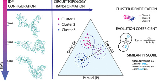 JCIM & JCTC Journals (@jcim_jctc) on Twitter photo Circuit Topology Approach for the Comparative Analysis of Intrinsically Disordered Proteins #IDP #compchem #cheminformatics
pubs.acs.org/doi/10.1021/ac…
<a href="/VSheikhhasani/">Vahid Sheikhhassani</a> <a href="/laurenswh/">Laurens Heling</a> <a href="/SchmitBiophys/">Jeremy Schmit</a> <a href="/AlirezaMashaghi/">Alireza Mashaghi</a>
Vol63 Issue8 #JCIM #Bioinformatics Circuit Topology Approach for the Comparative Analysis of Intrinsically Disordered Proteins #IDP #compchem #cheminformatics
pubs.acs.org/doi/10.1021/ac…
<a href="/VSheikhhasani/">Vahid Sheikhhassani</a> <a href="/laurenswh/">Laurens Heling</a> <a href="/SchmitBiophys/">Jeremy Schmit</a> <a href="/AlirezaMashaghi/">Alireza Mashaghi</a>
Vol63 Issue8 #JCIM #Bioinformatics