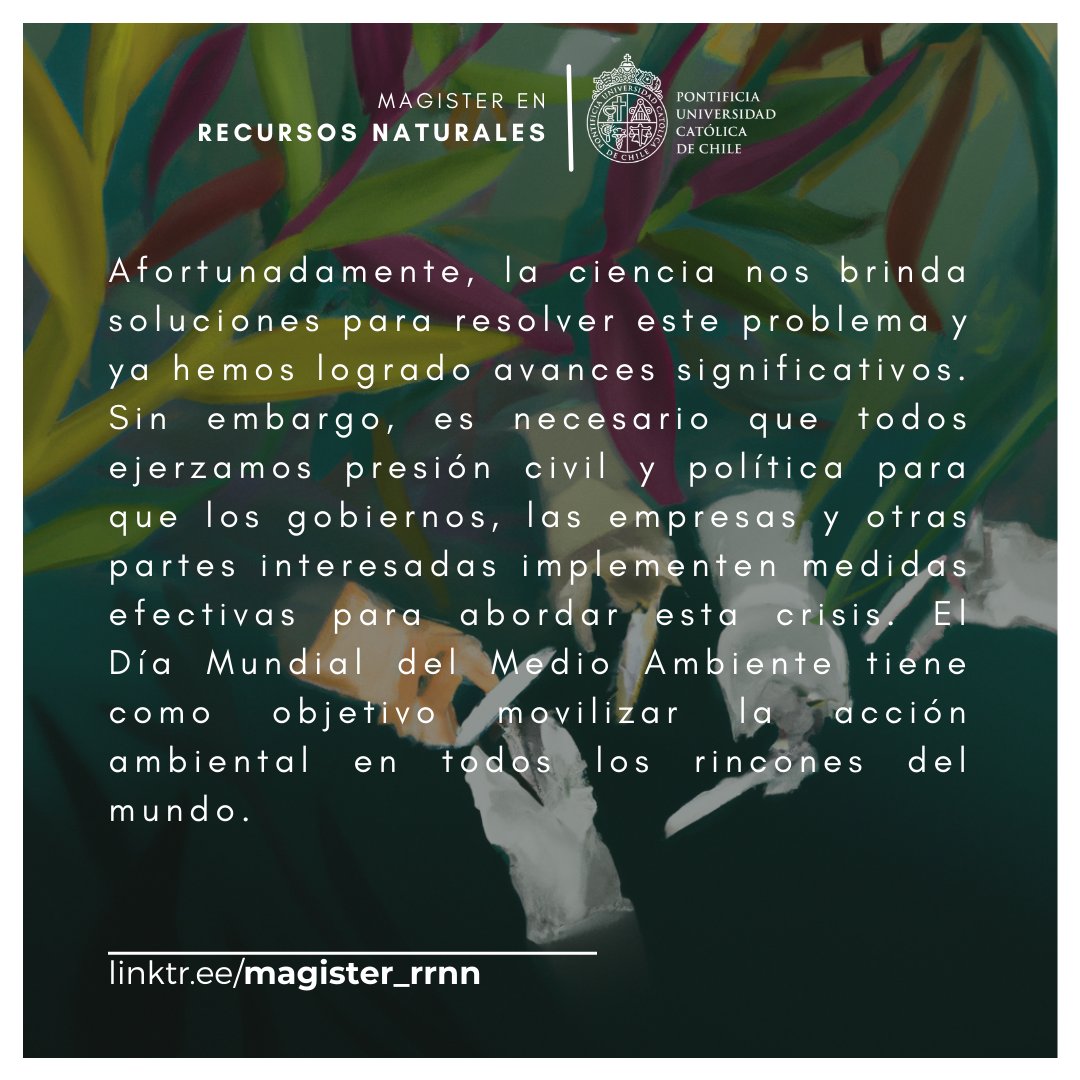 Hoy, 5 de junio, conmemoramos el #DiaMundialDelMedioAmbiente y nos enfocamos en encontrar soluciones para combatir la contaminación por plásticos con la campaña #SinContaminaciónPorPlásticos.