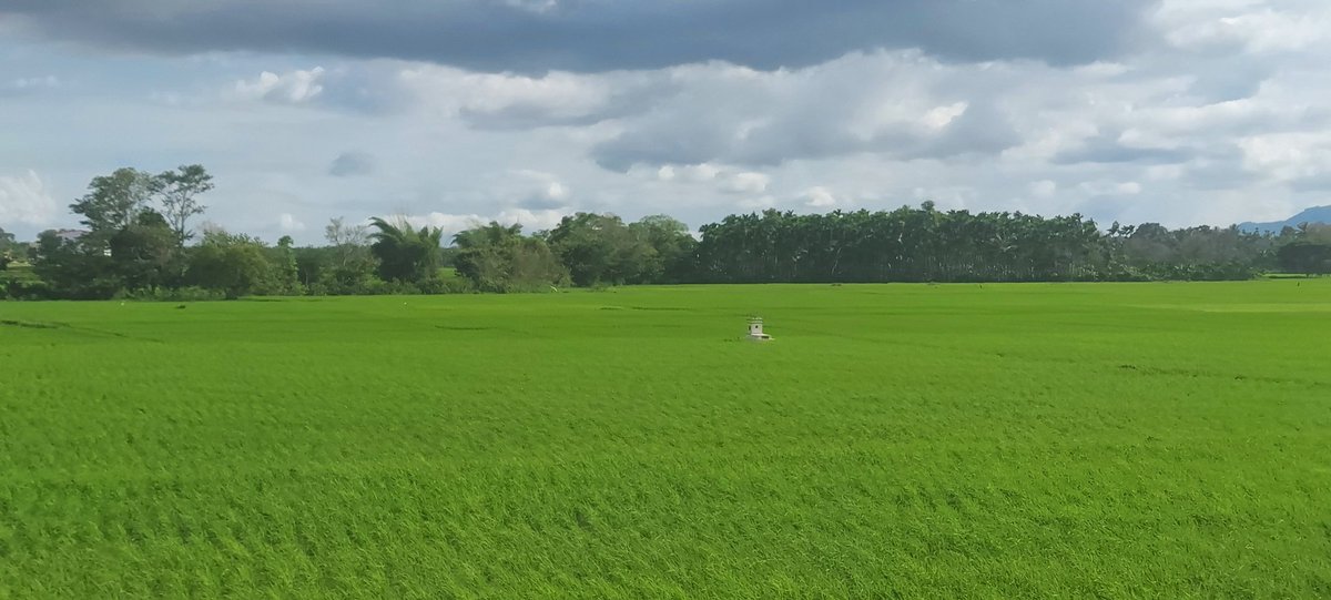 PshastryA's tweet photo. Different shades of nature still tops every positive things in life #june5th #EnvironmentDay2023 #EnvironmentDay #India #Mothernature #nature #ಕನ್ನಡ #ಕನ್ನಡತಿ #ಅನಾಮಧೇಯನಅನಾಮಿಕ #AnaamadheyanaAnaamika #love #Earth #Savenature https://t.co/bGeGZ1EF7i