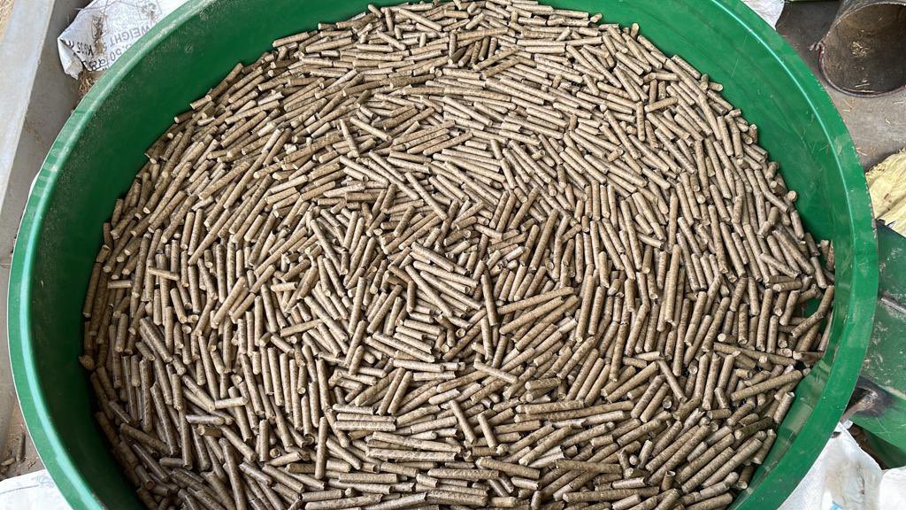 Punjab State Council for Science and Technology (@pscst_gop) on Twitter photo On the occassion of #Worldenvironmentday2023, Hon’ble CM, Pb <a href="/BhagwantMann/">Bhagwant Mann</a> inaugurated Demo Unit for manufacturing of pellets from 100% #Paddystraw set up by <a href="/PSCST_GoP/">Punjab State Council for Science and Technology</a> in collaboration with <a href="/PRESPLdesk/">PRESPL</a> at Vill. Kulburchan, Patiala.
@CMOPb <a href="/meet_hayer/">Gurmeet Singh Meet Hayer</a> <a href="/JKAroraEDPSCST/">Jatinder Kaur Arora</a> <a href="/moefcc/">MoEF&CC</a> On the occassion of #Worldenvironmentday2023, Hon’ble CM, Pb <a href="/BhagwantMann/">Bhagwant Mann</a> inaugurated Demo Unit for manufacturing of pellets from 100% #Paddystraw set up by <a href="/PSCST_GoP/">Punjab State Council for Science and Technology</a> in collaboration with <a href="/PRESPLdesk/">PRESPL</a> at Vill. Kulburchan, Patiala.
@CMOPb <a href="/meet_hayer/">Gurmeet Singh Meet Hayer</a> <a href="/JKAroraEDPSCST/">Jatinder Kaur Arora</a> <a href="/moefcc/">MoEF&CC</a>