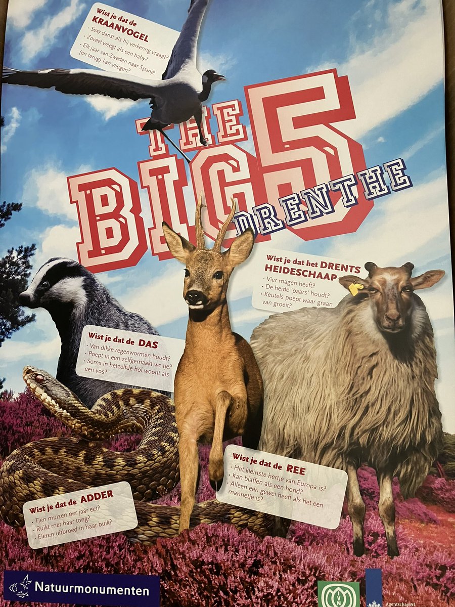 Deze week maken kinderen van groep 5/6 uit Pesse en Meppel kennis met de BIG 5 van het #Dwingelderveld. Volop reuring rondom <a href="/BCDwingeldervld/">BC Dwingeldervld</a>. <a href="/IVNNederland/">IVN Natuureducatie</a>