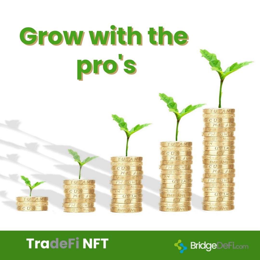 bridge_defi's tweet photo. Our TradeFi NFT gets you a professional trader to grow your funds.
Plant your seeds today! Get started with just $50.
Click Now!
https://t.co/NeJ5S7Ax83
https://t.co/CEPFgsnvbF
#TradeFi #blockchain #success #freedom #wealth #BridgeDeFi #money https://t.co/4Z0gOFZWl7