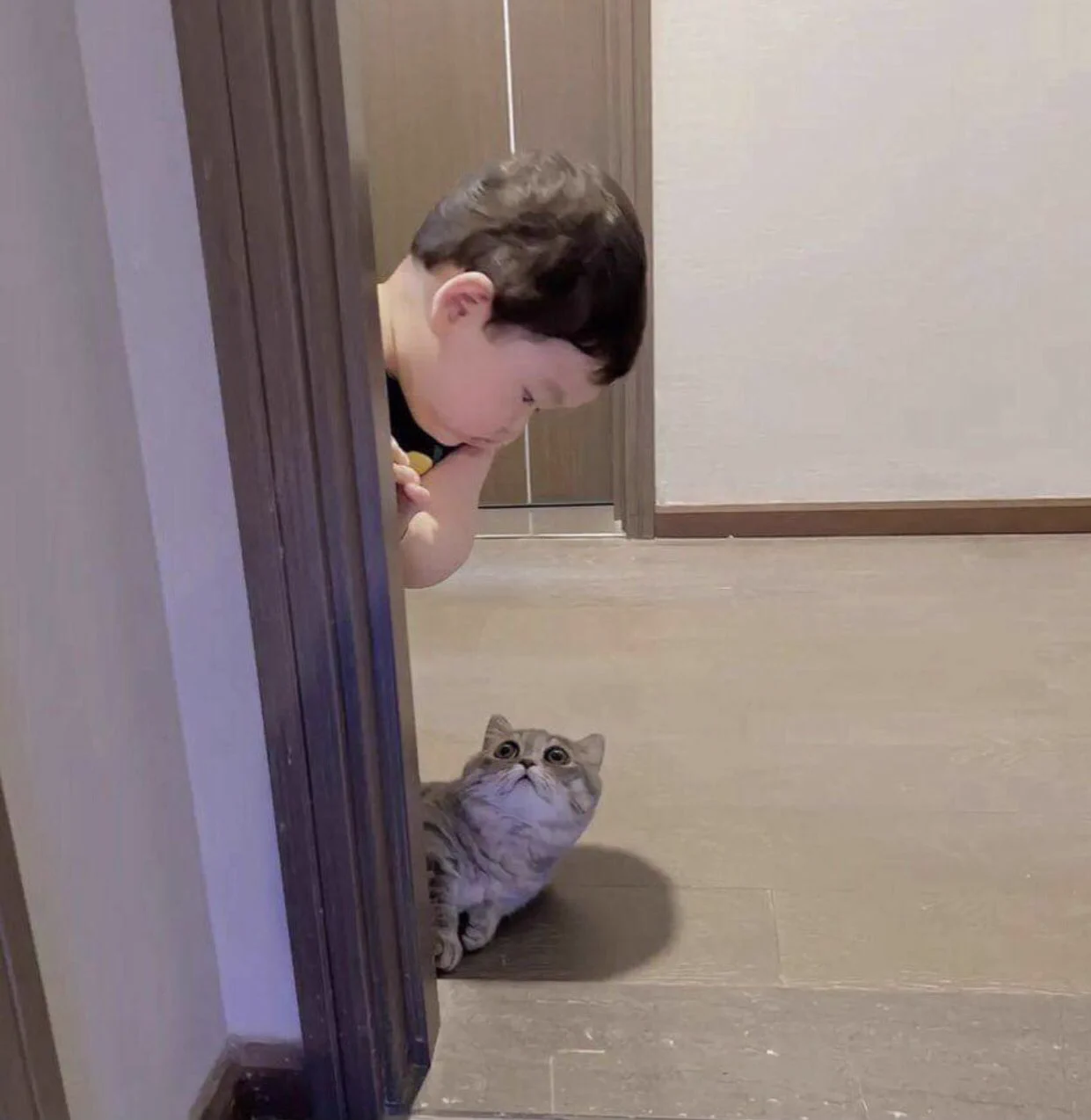 ひょっこりと現れた子どもと猫。同じタイミングで可愛い仕草！？