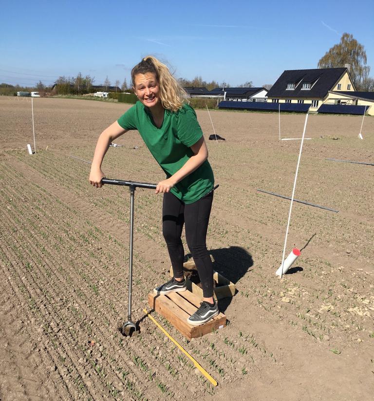 Germon_Amandine's tweet photo. I am thrilled to announce that I got a permanent researcher position @Cirad. I will be joining the Eco&amp;Sols Research unit in 2024.
Thank you to all those who have crossed my path and played a role in this achievement. 

Root systems better hold on tight! https://t.co/iAIRM0dc7U