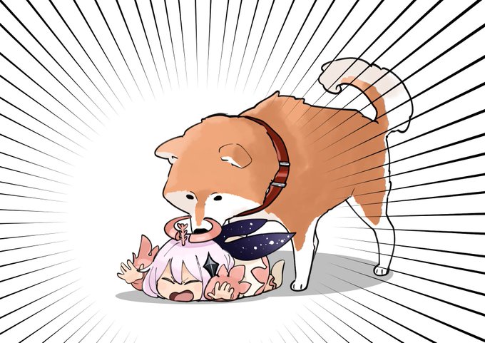 「柴犬 ショートヘア」のTwitter画像/イラスト(新着)