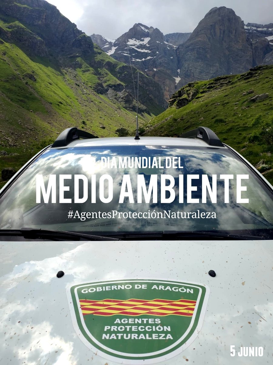 Hoy celebramos el #DíaMundialDelMedioAmbiente.
.
Es un día especial para los y las #AgentesProtecciónNaturaleza #AgentesMedioambientales y #AgentesForestales, ya que pone de manifiesto la importancia de nuestra profesión.
.
Seguimos trabajando #24h7d.
.
Feliz día 👋