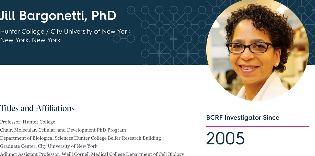 Day 105/250 of my 'tour' of @BCRFcure funded researchers is my 2nd 'stop' in NY. @P53Mdm2 is doing some cool work with #TNBC, work that is close to my heart since this is what took Maureen's life after her #metastaticbreastcancer 1/3 #ASCO23