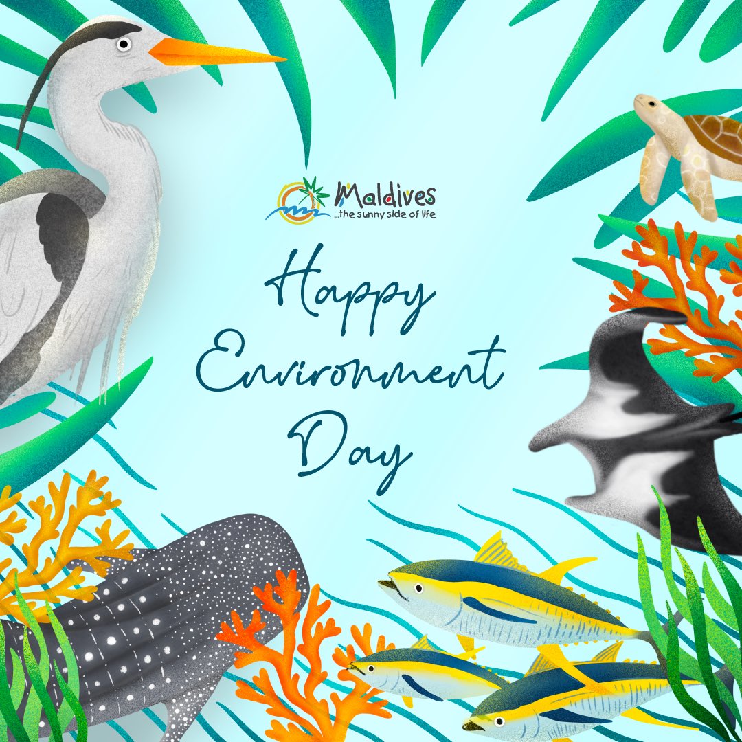 Celebrating World Environment Day 2023 in the Sunny Side of Life. We are the solution; let's preserve and protect our fragile ecosystems together, addressing global environmental challenges, and go above and beyond to lead more sustainable lives!