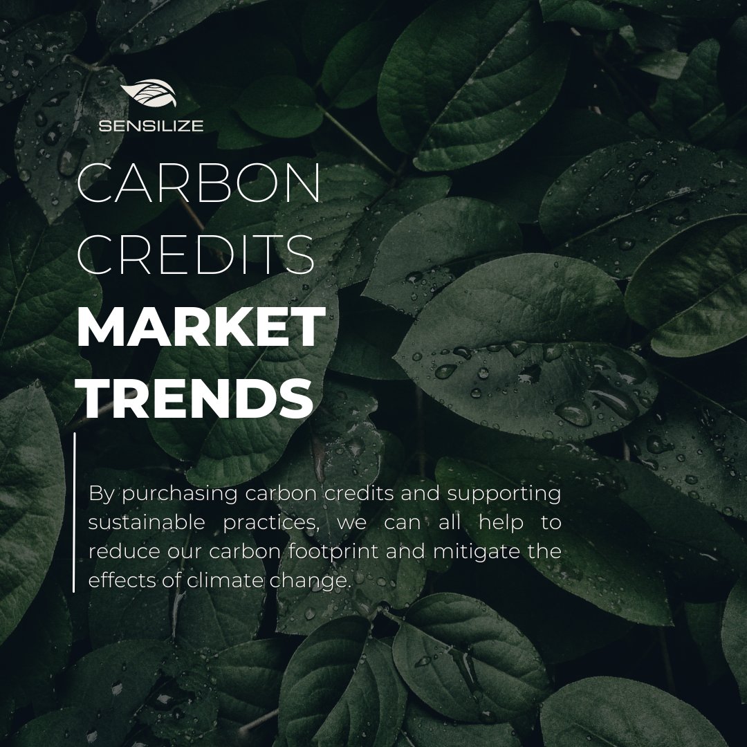 sensilize's tweet image. #CarbonCredits Market Trends.

By purchasing carbon credits and supporting sustainable practices, we can all help to reduce our carbon footprint and mitigate the effects of climate change.

Visit our LinkedIn page to read more: bit.ly/43L2pTF

#climatechange