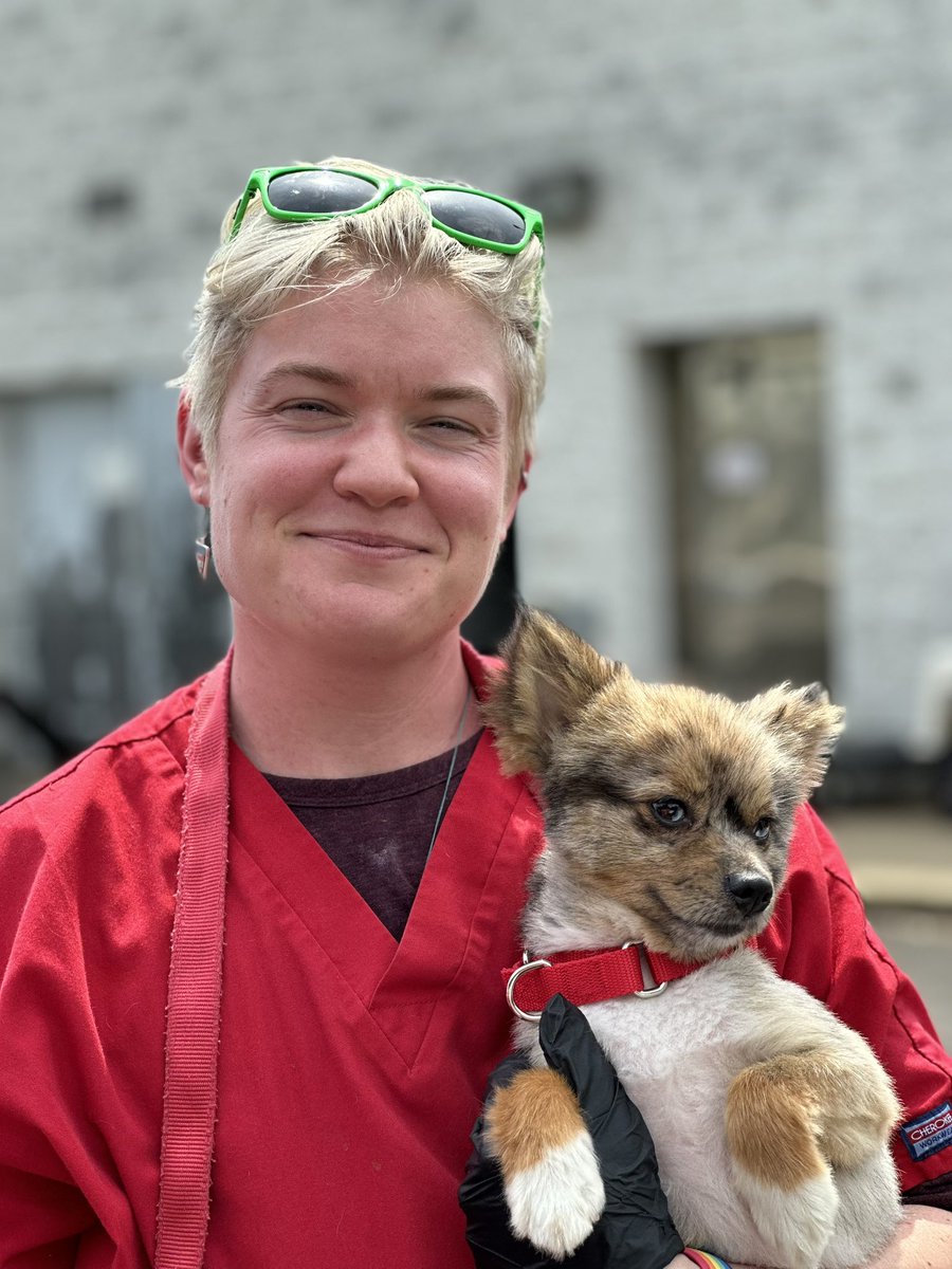 AlexandriaVAGov on Twitter "RT AlexAnimals Lots of adorable arrivals