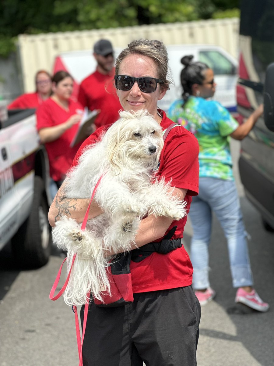 AlexandriaVAGov on Twitter "RT AlexAnimals Lots of adorable arrivals