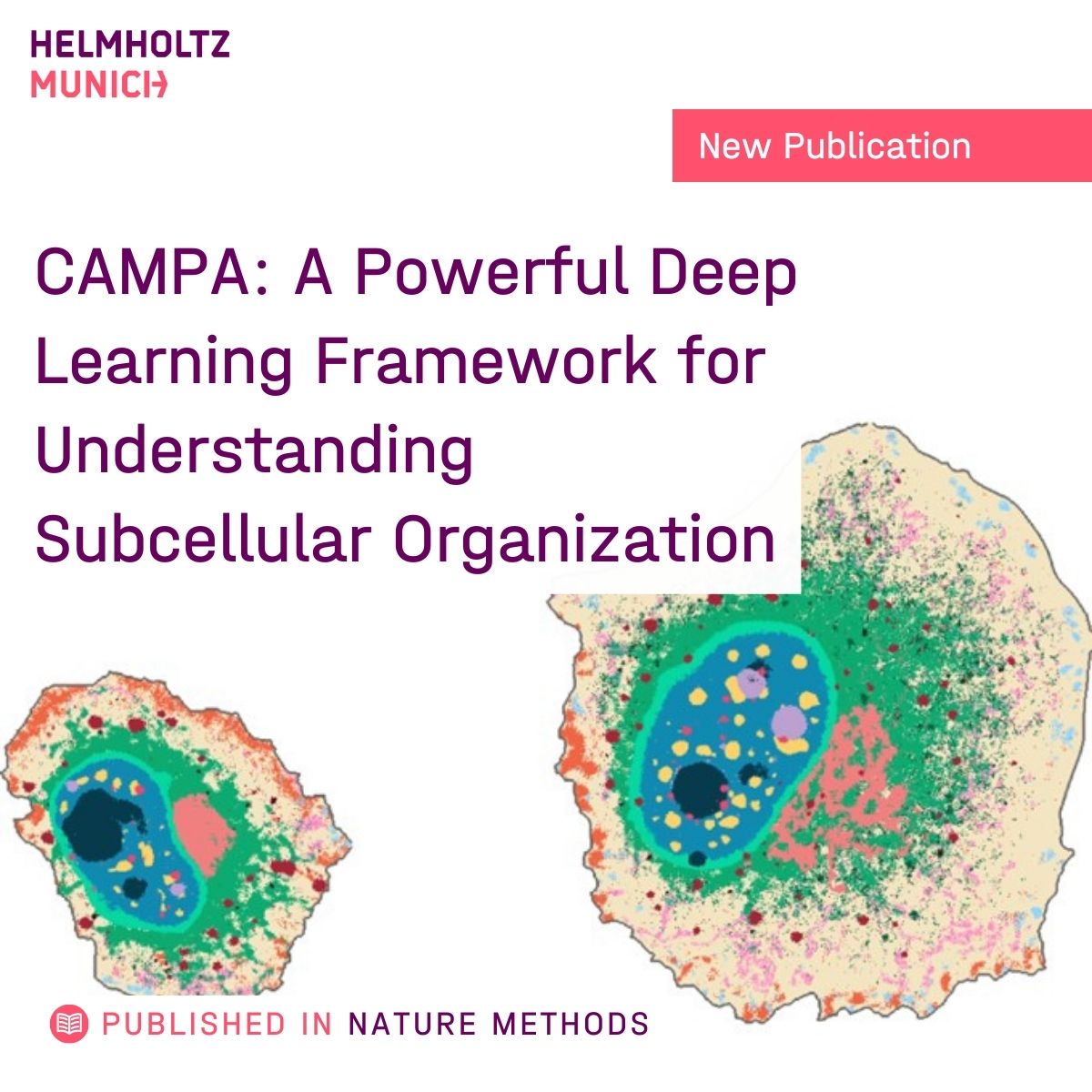 HelmholtzMunich's tweet image. ‼️One step closer to a #foundationmodel of the cell:
The Conditional Autoencoder for Multiplexed Pixel Analysis (CAMPA) can facilitate the analysis of high-throughput screens &amp;amp; accelerate researchers&apos; ability to gain insight from complex datasets. #ML👇
🔗t1p.de/6pym6