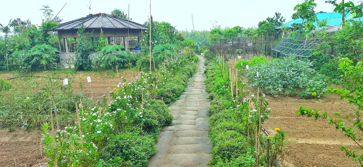 Embracing a #greener tomorrow! On the eve of #WorldEnvironmentDay2023   , we celebrate our #Climate Smart Nursery, a testament to our commitment to #preserving our planet's beauty and #biodiversity.