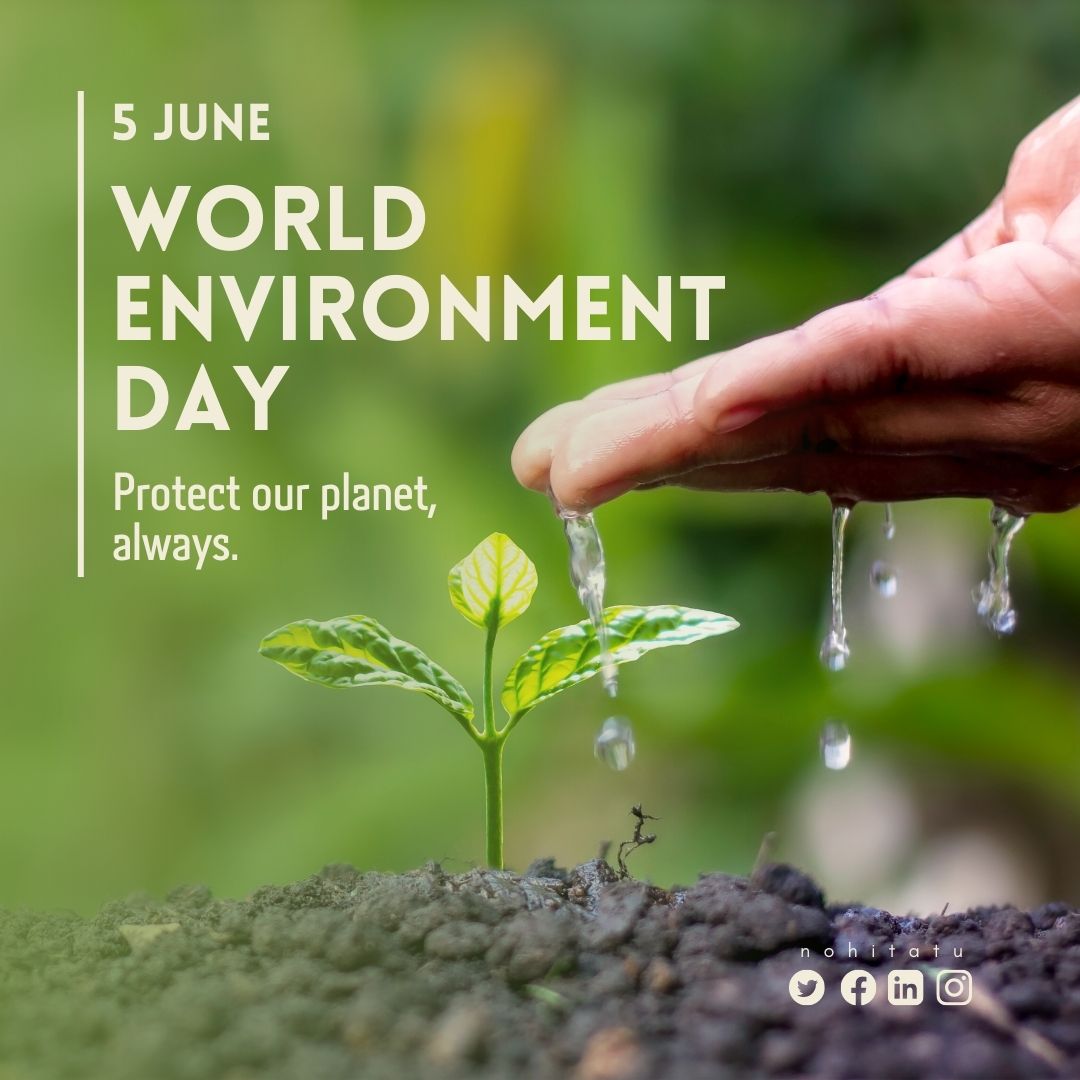Nohitatu's tweet photo. In the environment, miracles happen; where life thrives despite all odds.

#environmentday #protectourplanet #gogreen #growgreen #nature #environment #world #nohitatu https://t.co/8CTWiNUzpj