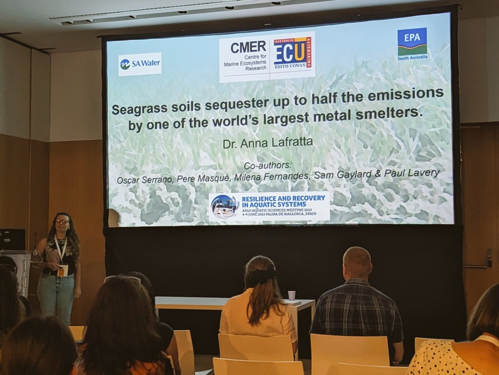 Chanelle Webster tweet media