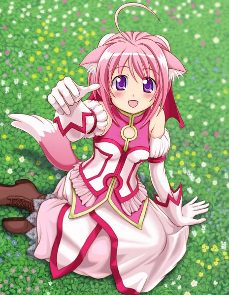 Millhiore Firianno Biscotti (Dog Days) - Featured 