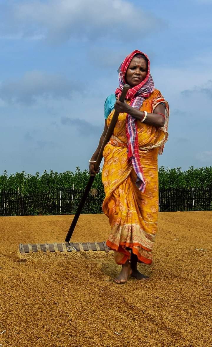 जोहार नारीशक्ति 🙏

जोहार आदिवासियत🌱