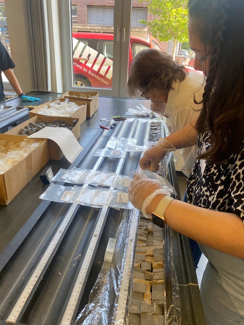 Saray Sanchez tweet media