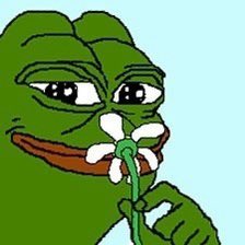 KnightsofPepe tweet picture