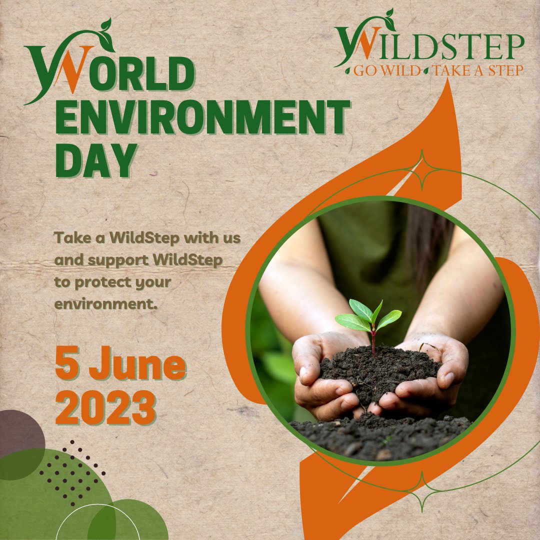 WildStep tweet media