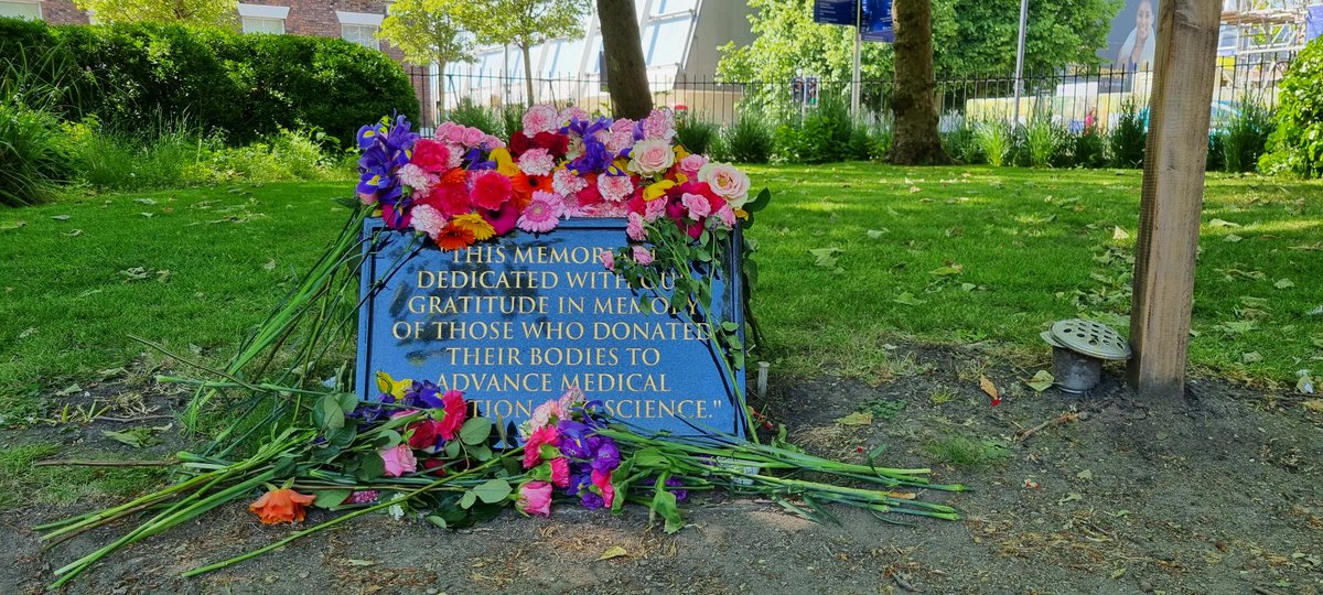 abdulgomaa's tweet photo. 🎓🩸Last day of anatomy teaching for second year student doctors @LivUniMedicine! 📚👩‍⚕️👨‍⚕️We paused to pay tribute to the selfless individuals who donated their bodies for our education and research. 🙏🏼@LivUni @KneeilT @NathanJeffery17 @AlBondAnatomy #MedicalEducation #AnatomyClass https://t.co/UL3cR8BN6I