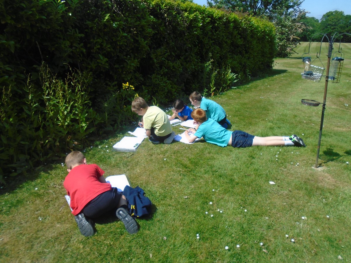 Back to school and children have been botanists. They have been drawing and labelling parts of flowers for their enquiry 'How do plants die?' #curriculum #curriculumenquiry #wearescientists #weareartists #lightuplearning