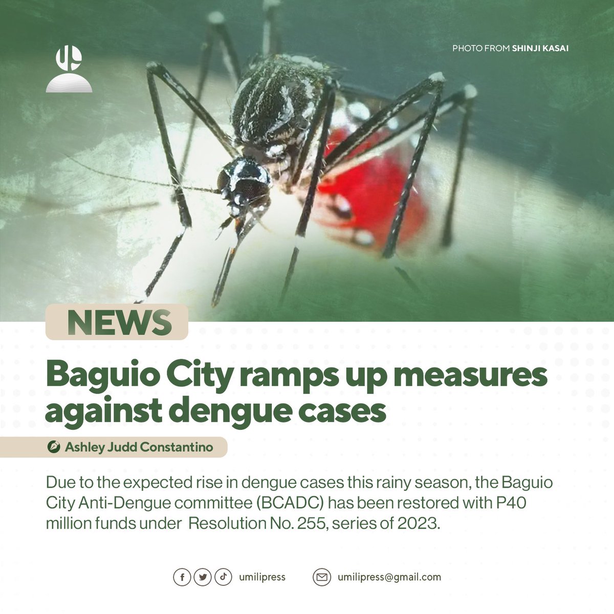 umilipress's tweet photo. NEWS | Baguio City ramps up measures against dengue cases
By Ashley Judd Constantino

Due to the expected rise in dengue cases this rainy season, the Baguio City Anti-Dengue Committee (BCADC) has been restored with P40 million funds under Resolution No. 255, series of 2023. https://t.co/scvPqlmWm4