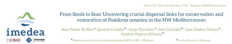 Andrés Ospina @andresospina.bsky.social tweet media