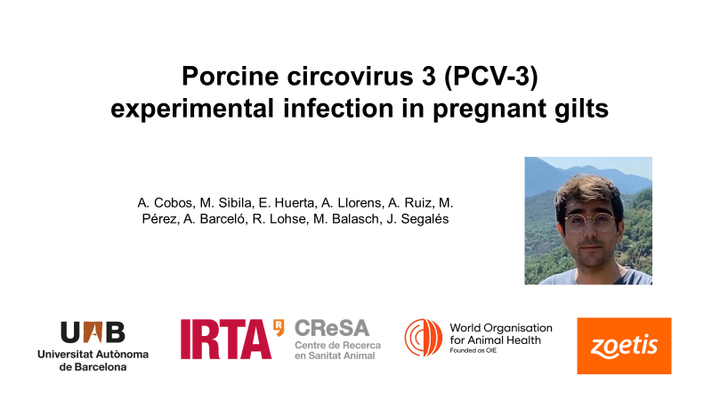QuimSegales's tweet photo. Moreover, I had also the opportunity to present our latest work on #PCV3 (porcine circovirus 3), which is part of Alex Cobos PhD. Great work!!!
@SibilaMarina @CReSA_r @irtacat @UABveterinaria https://t.co/bXvuUlB9eW