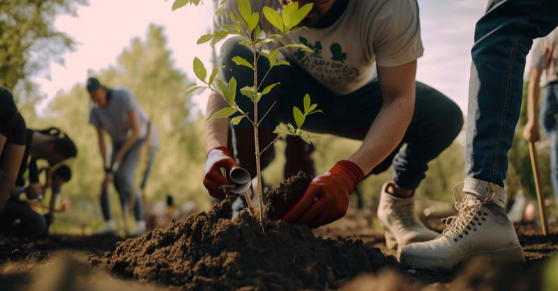Mastercard's tweet photo. This #WorldEnvironmentDay, donate $2 to plant a tree and join Mastercard in combating the climate crisis and restoring 100  million trees by 2025.

Showing you care while making moves to protect the planet: priceless🌱 

Terms Apply.