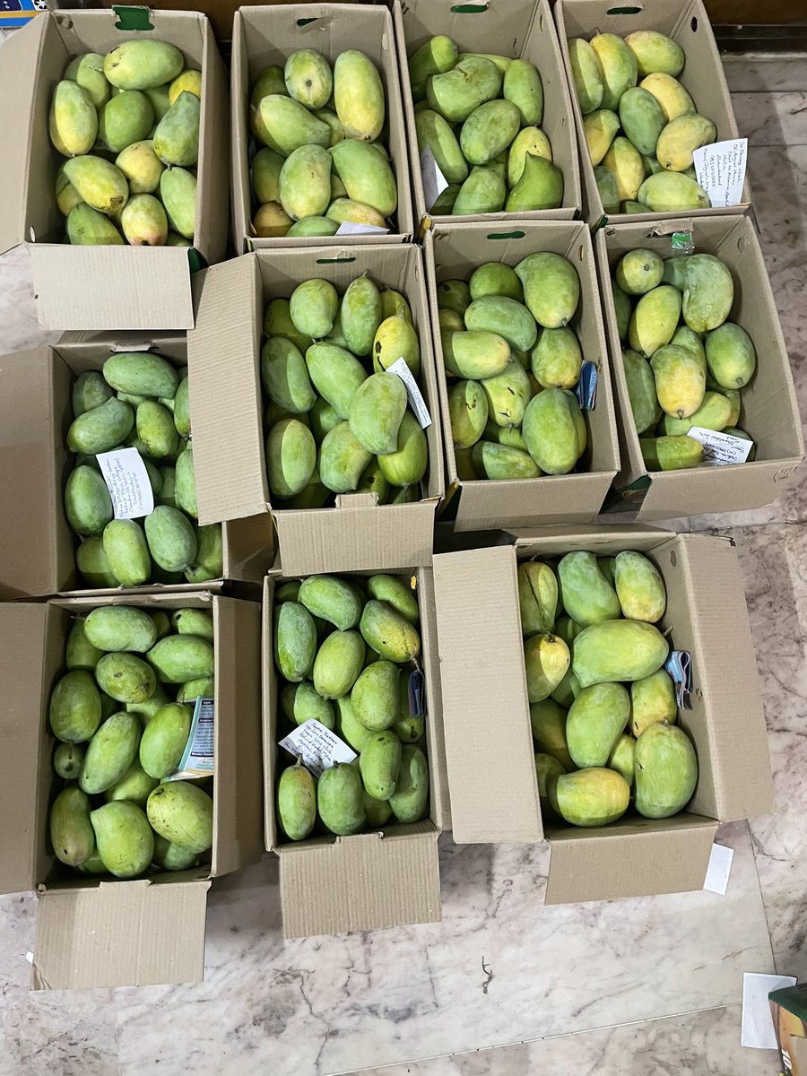 Today Direct CustomerOrder From 
#Bombay
#Amdavad 
#Bhuj 
#Halol -140kg

Today Order Of Kesar Mango 🥭 Ras & Kesar Mango Powder From #Bombay 

For More Inquiry Call On
+919825111911
+919925826326(Customer Care)
Email:-Tirjigshi@gmail.com
Facebook Page:-Aajaji Organic Farm