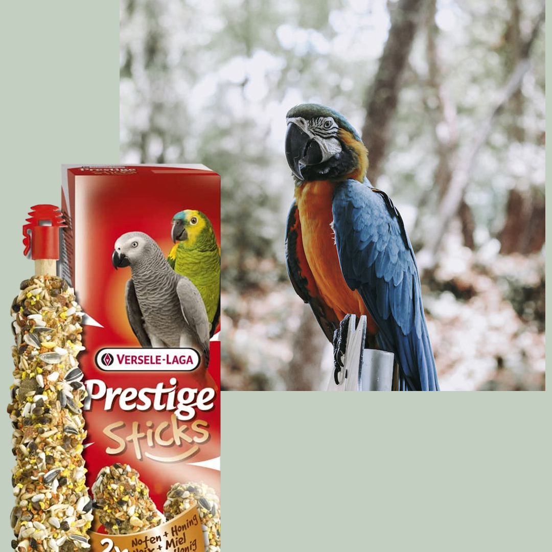 gncgarden's tweet photo. 🦜🍯 Barritas para loros: una deliciosa golosina complementaria con semillas, cereales, frutas y miel. 🦜🍯

Ref: V22315

#LorosFelices #GolosinasParaLoros #AlimentaciónVariada https://t.co/AN4gCy5cda