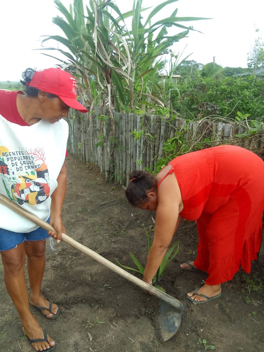 MST_Oficial's tweet photo. 🙌🏿 A atividade foi de balanço e planejamento dos agentes para o fortalecimento de saúde preventiva e de práticas saudáveis e alternativas para o campo.

🌱 Foi realizada plantação de ervas medicinais e da construção da horta medicinal! 

2-2

#SaúdePopular #MSTemDefesaDoSUS https://t.co/veM8RDOOce