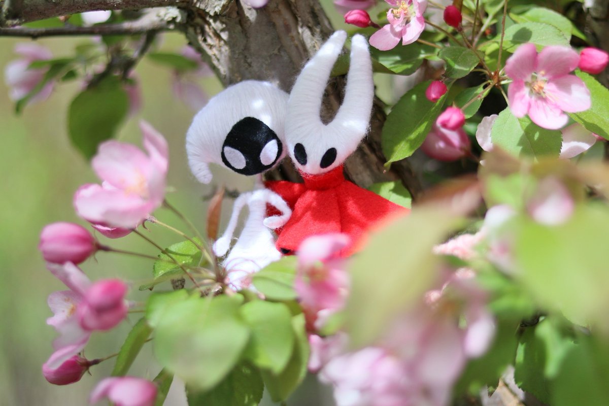 forrksie's tweet photo. Lace receives flowers 🌸🌺 she is a bit overwhelmed 😊🌸

#hollowknight #silksong https://t.co/t77z11kyqz