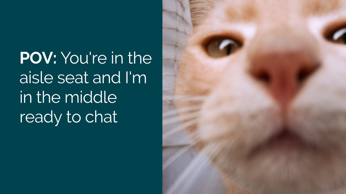 What do you do? 

#Travel #BusinessTravel #MiddleSeat