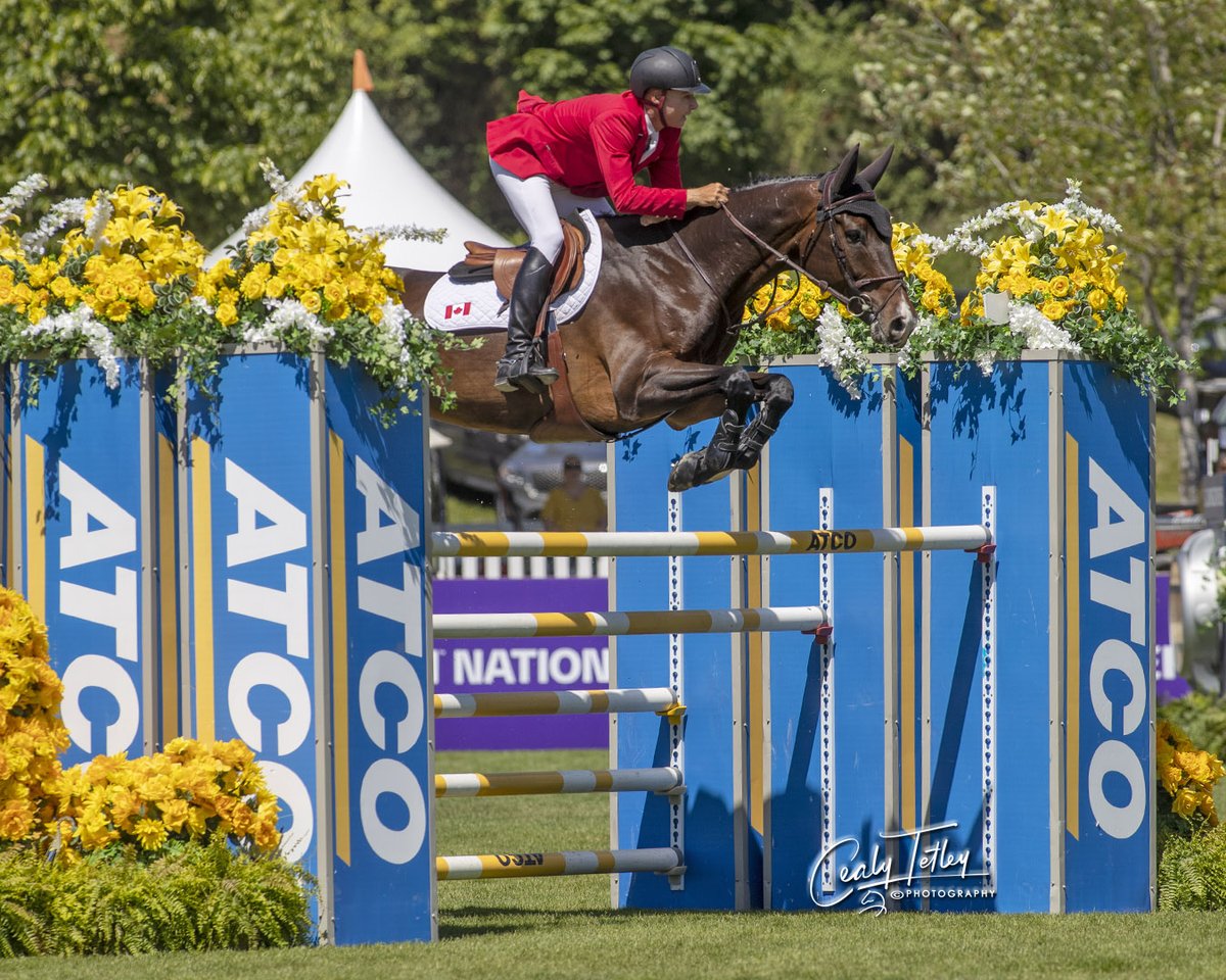 Equestrian Canada Équestre tweet media