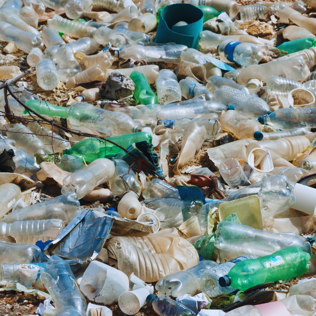 For World Environment Day, help us #BeatPlasticPollution! Compost instead of sending waste to the landfill in plastic bags. Use compostable seed pots and a reusable water bottle. Together we can all make a difference! 📷 fcafotodigital from Getty Images Signature