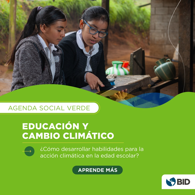 Mercedes Mateo tweet media