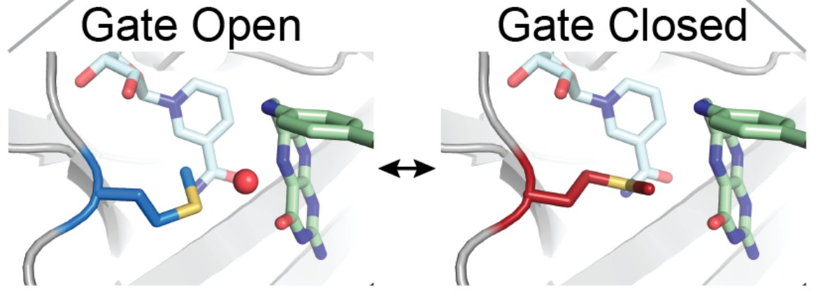 Hekstra Lab tweet media