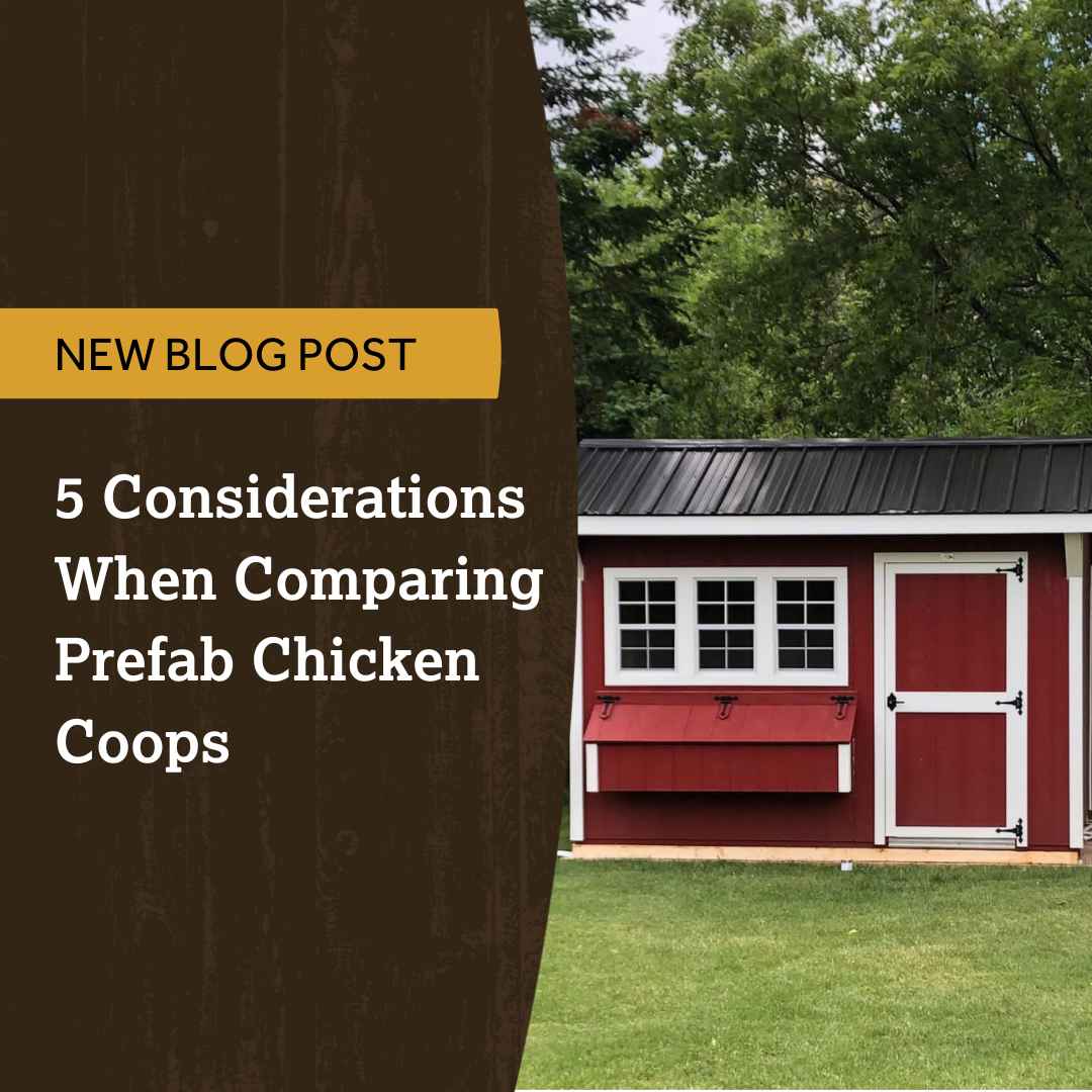 DakotaStorage's tweet image. When you invest in a pre-built coop, it not only makes your life easier, but you can be sure to buy a coop that has all of the necessary features. 

Give your flock a quality living space by purchasing a pre-built chicken coop.  
hubs.ly/Q01Nqrsm0

#chickens #chickencoops