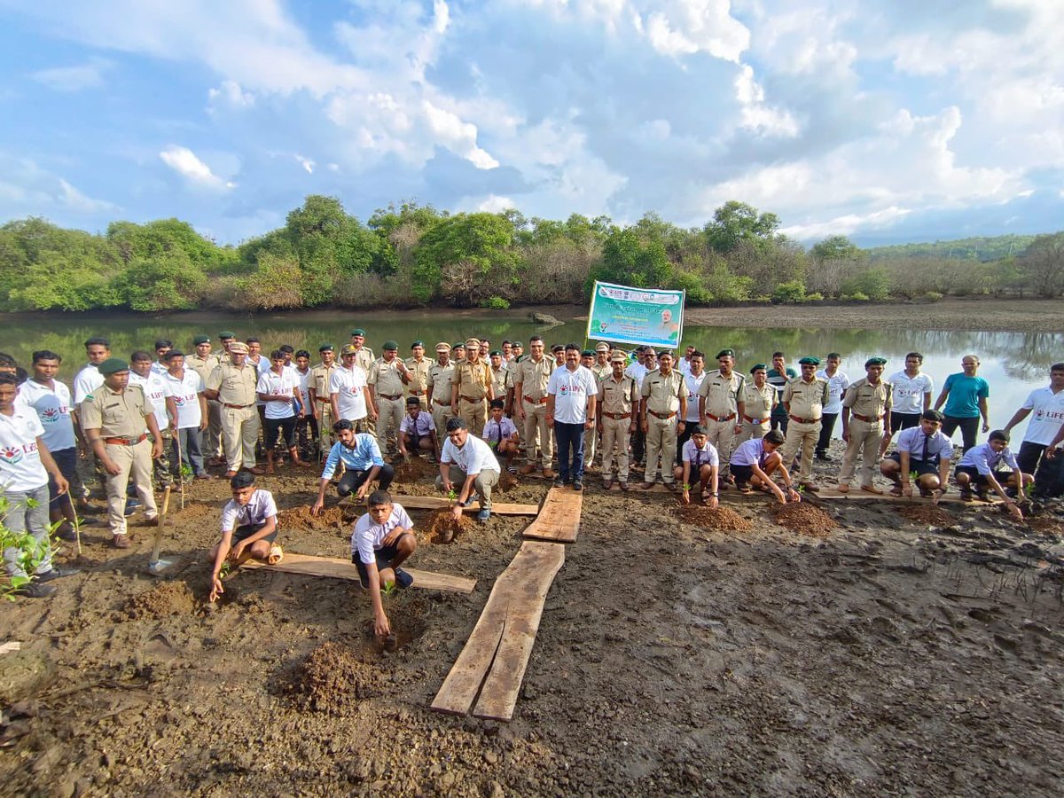 thegoanonline's tweet photo. “Mangroves are  lungs of earth” @goaforests
planted mangrove at #Talpona #Galgibagh on the occasion of #WorldEnvironmentDay_2023 and launch of #MISTHI Campaign.
@visrane @moefcc @DrPramodPSawant @dip_goa https://t.co/ReIQqTsTZr