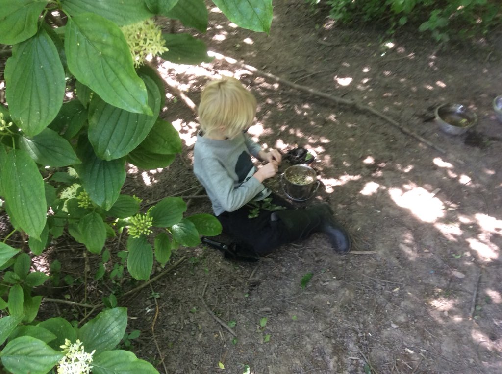 Busy investigating Forest School!