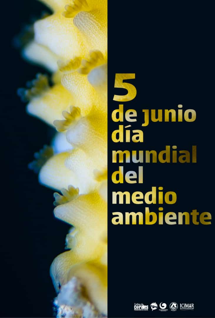 Muchas felicidades para los OACE, OSDE, EN, el CITMA, en especial para la DGMA por el #DíaMundialDelMedioAmbiente. #Cuba <a href="/OGAmbienteCuba/">Odalys Caridad Goicochea Cardoso</a> <a href="/Jessfc17/">JessicaFC</a> <a href="/PNUDCuba/">PNUD Cuba</a> @bohemia1908