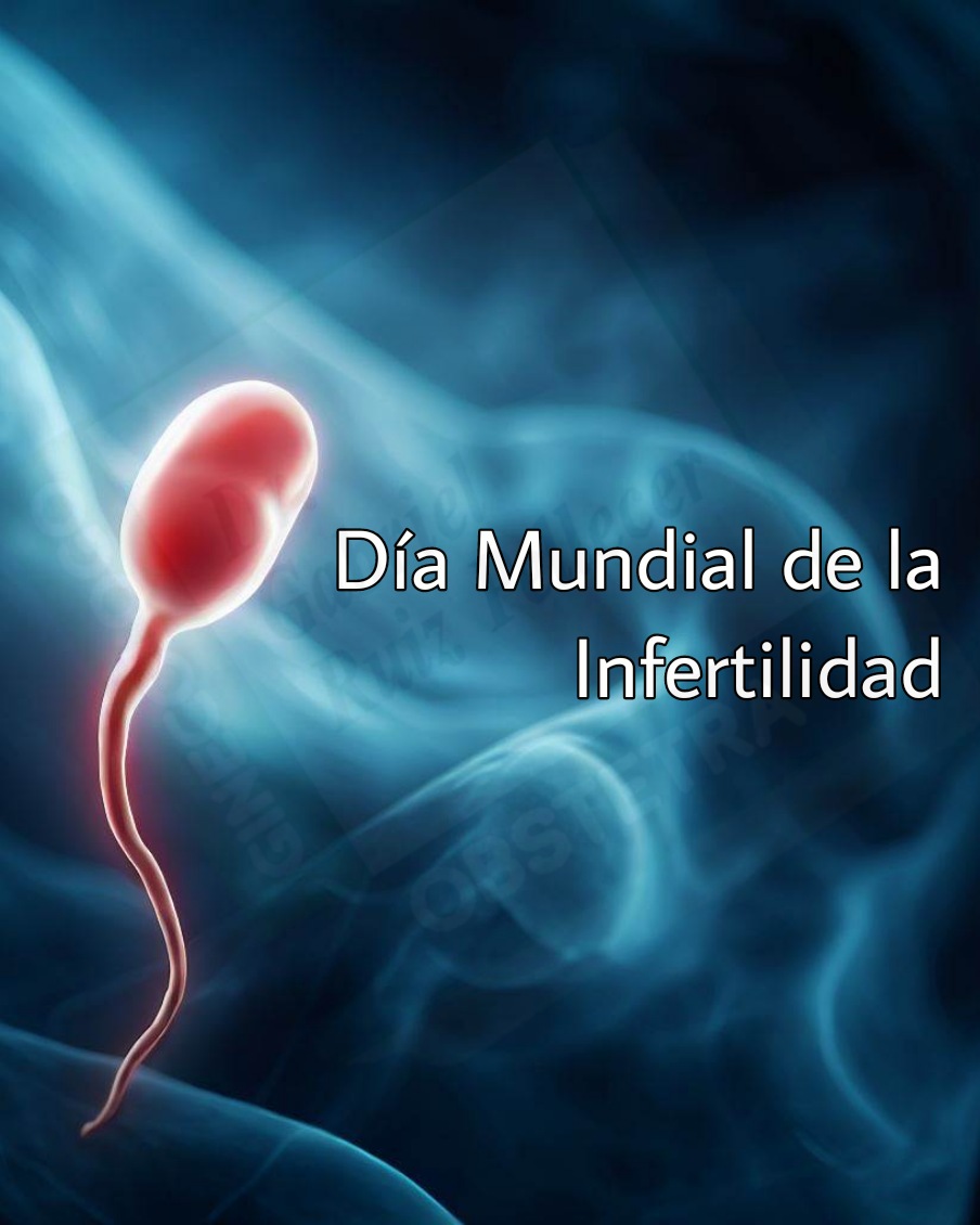 No pierdas la esperanza, ¡La #Infertilidad tiene solución!

.

.

.

#DrGabrielRuizPellecer #GinecólogoEnAntigua #SoyObstetra #EmbarazoNormal #EmbarazoDeAltoRiesgo #Ultrasonido #DíaMundialDeLaInfertilidad #InfertilityAwareness #Emergencias #AntiguaGuatemala