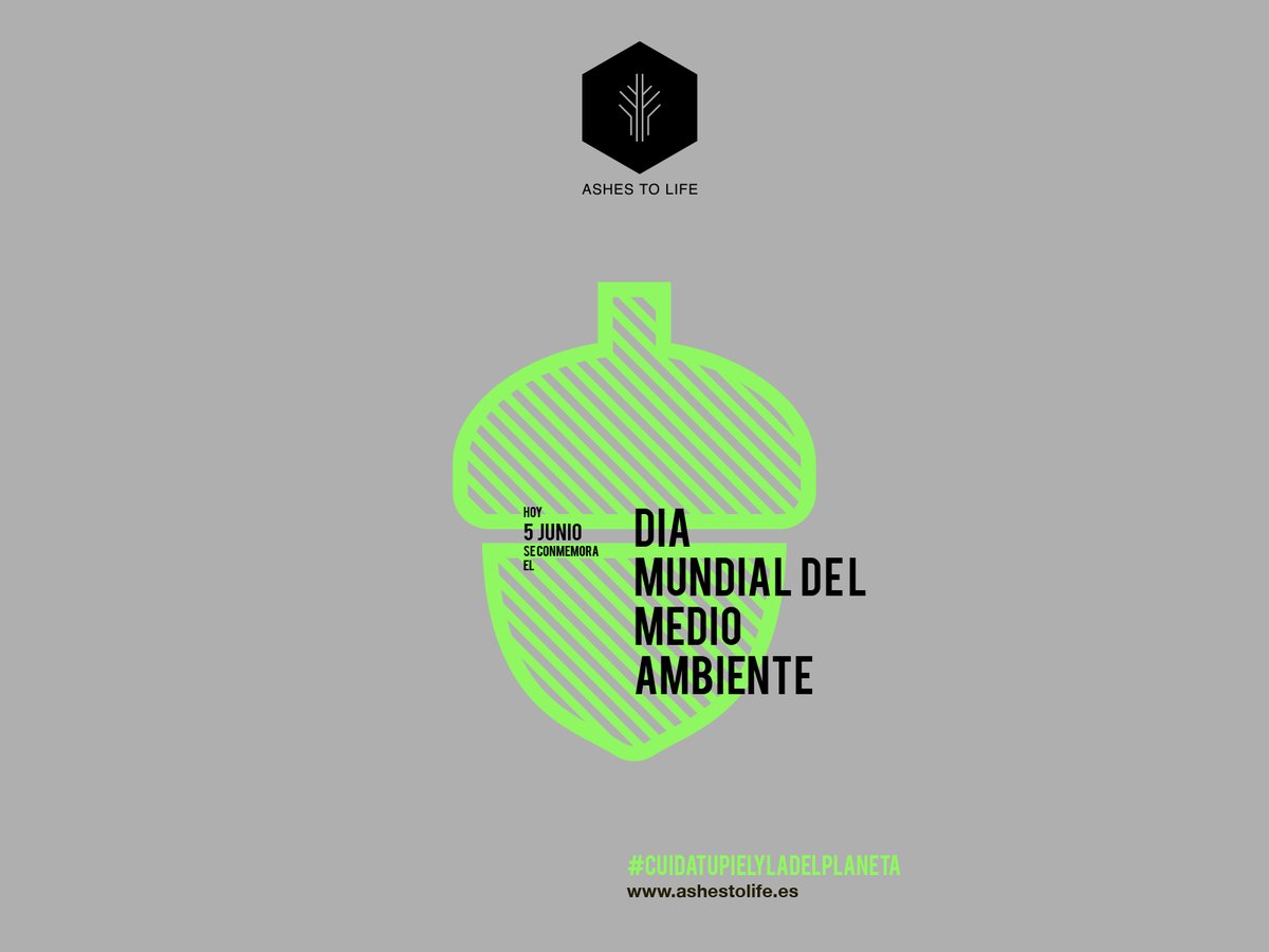 Hoy 5 de Junio es el #DiaMundialDelMedioAmbiente
¡Celebrémoslo todos los días¡
🌲🌲🌳🌳🌳🌲🌲
ASHES TO LIFE #CuidatuPielYlaDelPlaneta

ashestolife.es