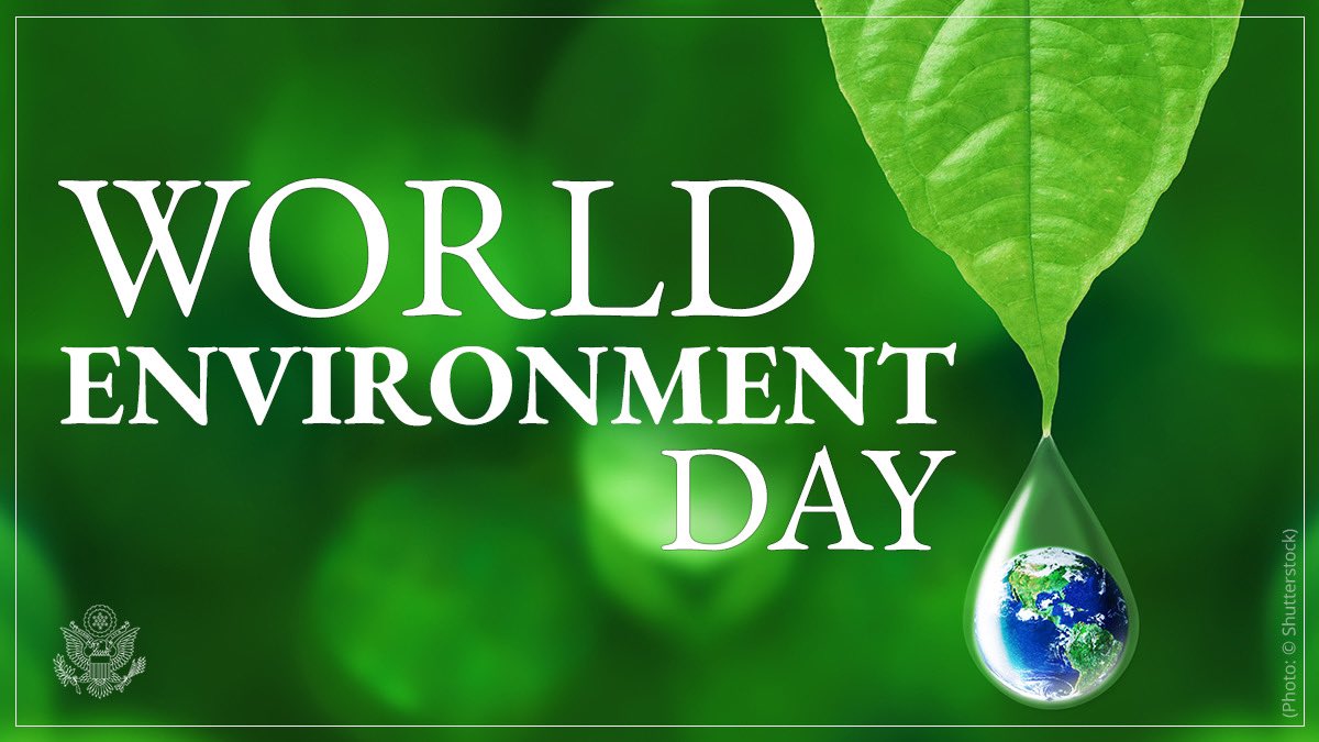 🌍🌿Happy World Environment Day! On this day, let us commit to making positive changes in our daily lives for the protection and preservation of our planet. Together, we can create a better world. #SustainableFuture #NaturePower #ProtectOurPlanet