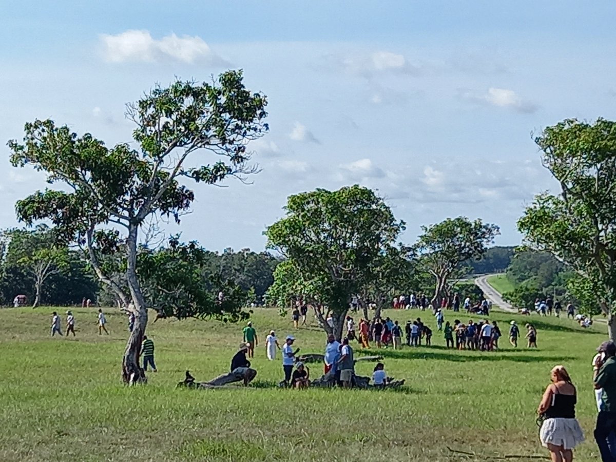 Por el Día del Medio Ambiente y como parte del Festival Internacional de Cine Ambiental se siembra el Bosque del Cine en la #IslaDeLaJuventud #Cuba #SentirPinero