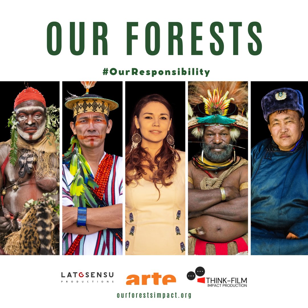 Dans la série documentaire « Gardiens de la forêt », 5 protecteurs de 5 forêts primaires racontent leur lutte pour la préservation de ces ensembles naturels exceptionnels.🌳

Leur combat est aussi le nôtre 👇
so.arte/GardiensForet

#JourneeMondialeDeLenvironnement