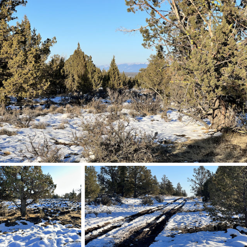 BillyLand's tweet photo. This property would make a great spot to build a cabin, primary, or vacation home or could be used recreationally for a weekend camping trip, or a place to enjoy all the outdoor activities the surrounding area provides. 😴☀️ https://t.co/OegxXpm5FO